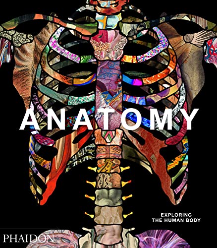 Anatomy. Exploring The Human Body. Ediz. Illustrata