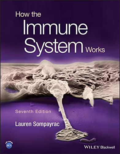 How The Immune System Works