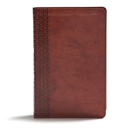 Everyday Study Bible: Christian Standard Bible, British Tan, Leathertouch