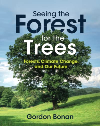 Seeing The Forest For The Trees: Forests, Climate Change, And Our Future