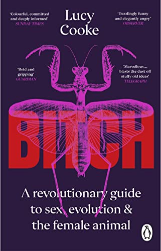 Bitch: What Does It Mean To Be Female?