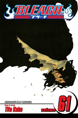 Bleach 61: The Last 9 Days