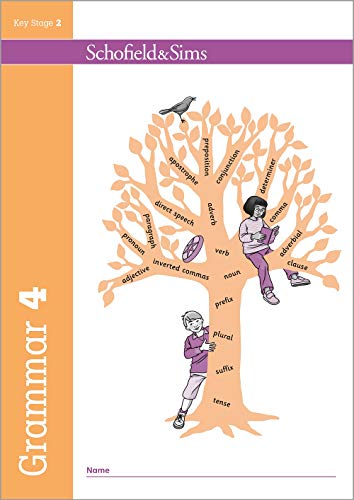 Grammar And Punctuation Book 4: Year 4, Ages 8-9