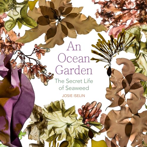 An Ocean Garden: The Secret Life Of Seaweed