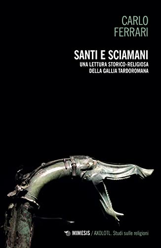 Santi E Sciamani. Una Lettura Storico-Religiosa Della Gallia Tardoromana
