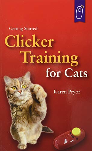 Getting Started: Clicker Training For Cats