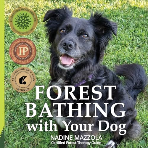 Forest Bathing With Your Dog