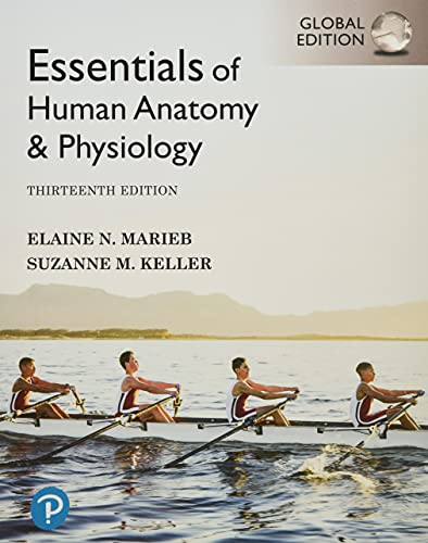 Essentials Of Human Anatomy & Physiology, Global Edition