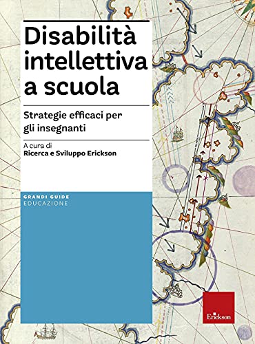 Disabilità Intellettiva A Scuola. Strategie Efficaci Per Gli Insegnanti