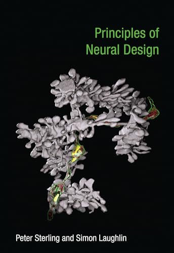 Principles Of Neural Design