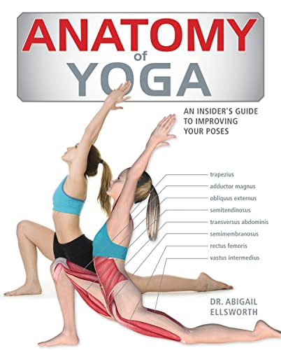Anatomy Of Yoga: An Instructor'S Inside Guide To Improving Your Poses