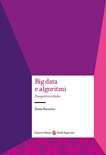 Big Data E Algoritmi. Prospettive Critiche