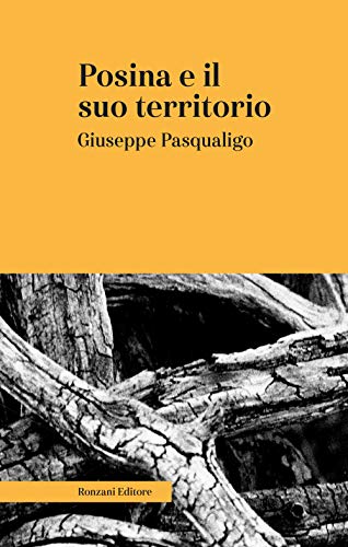 Posina E Il Suo Territorio. Nei Rapporti Fisio-Medico-Storico-Statistici. Ediz. Integrale