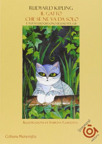 Il Gatto Che Se Ne Va Da Solo E Tutti I Luoghi Sono Uguali Per Lui
