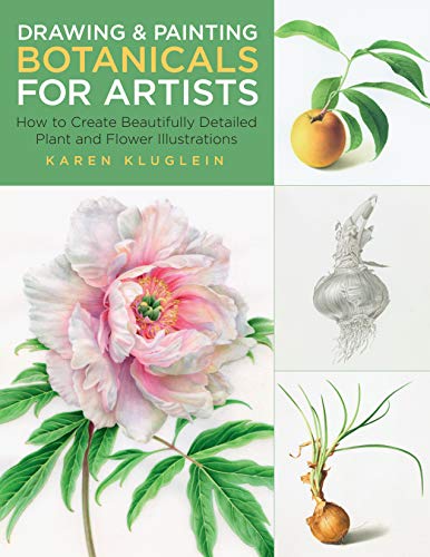 Drawing And Painting Botanicals For Artists: How To Create Beautifully Detailed Plant And Flower Illustrations (4)