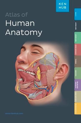 Kenhub Atlas Of Human Anatomy