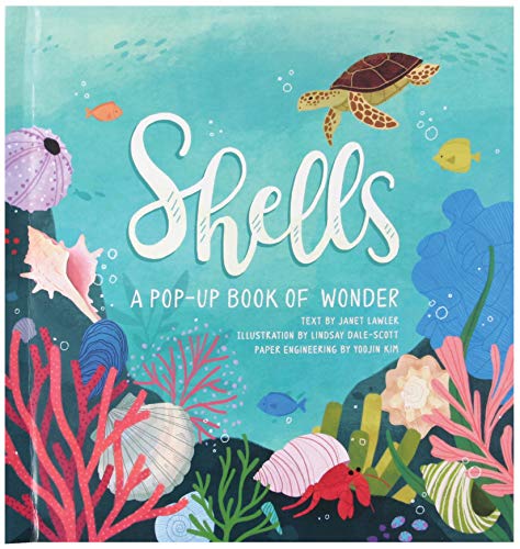 Shells: A Pop-Up Book Of Wonder