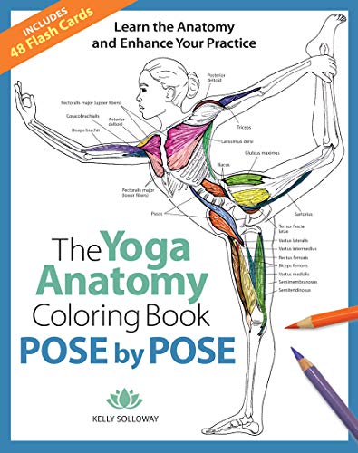 Pose By Pose: Learn The Anatomy And Enhance Your Practice