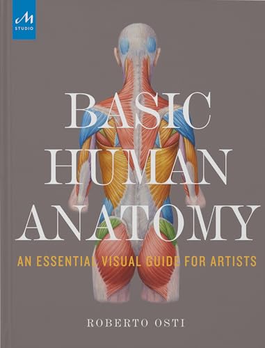 Basic Human Anatomy: An Essential Visual Guide For Artists