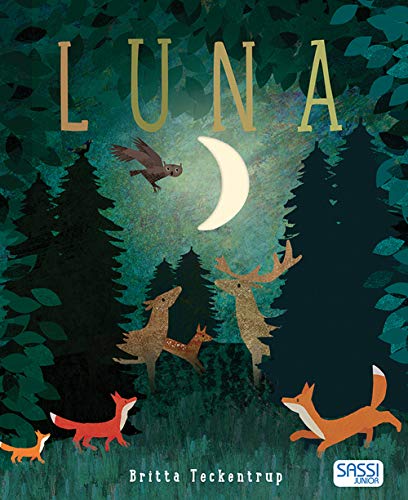 Luna. Ediz. A Colori
