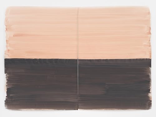 Silvia Bächli: Cat. Kunst Museum Winterthur