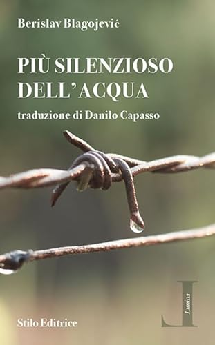 Più Silenzioso Dell'Acqua