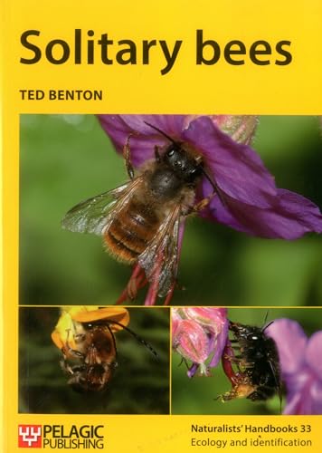 Solitary Bees: 33