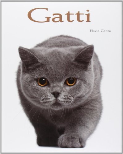 Gatti. Ediz. Illustrata