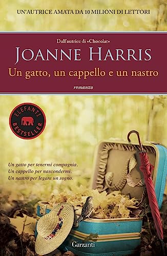 Un Gatto, Un Cappello E Un Nastro