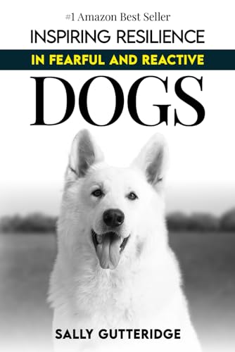 Inspiring Resilience In Fearful And Reactive Dogs