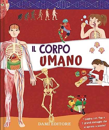 Il Corpo Umano. Ediz. A Colori