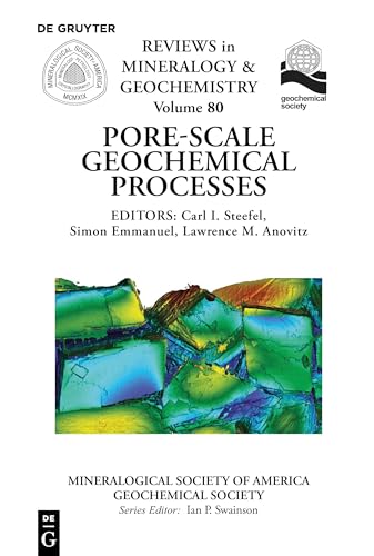 Pore Scale Geochemical Processes: 80