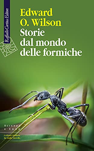 Storie Dal Mondo Delle Formiche
