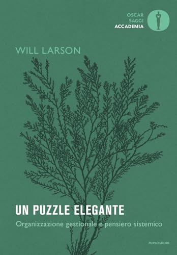 Un Puzzle Elegante. Organizzazione Gestionale E Pensiero Sistemico