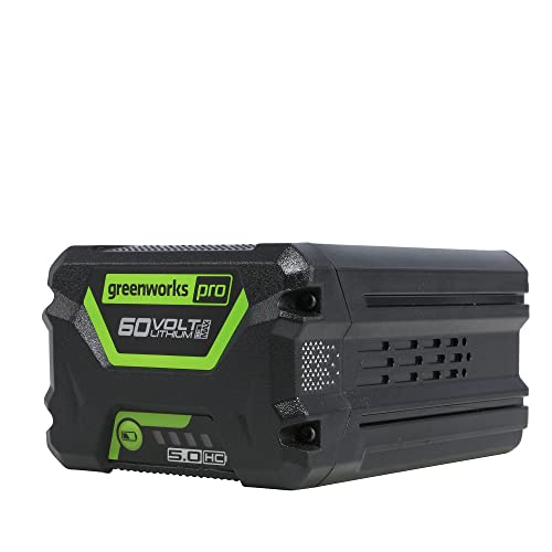Batería 60V 5Ah Greenworks G60B5-2944907