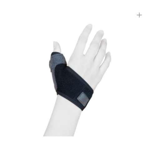 Noton Actius Ferula Pollica D T1