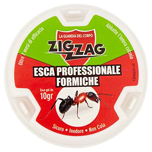 Zig-Zag Esca Insetticida Antiformiche In Plastica Rigida Pronta All'Uso, Con Gel Antiformiche Da 10 G, Inodore, Non Cola, Non Sporca