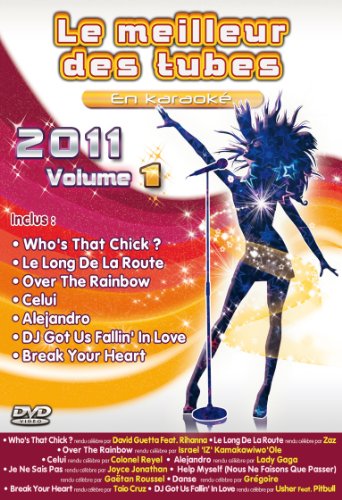 Le Meilleur Des Tubes En Karaoké : 2011 Volume 1