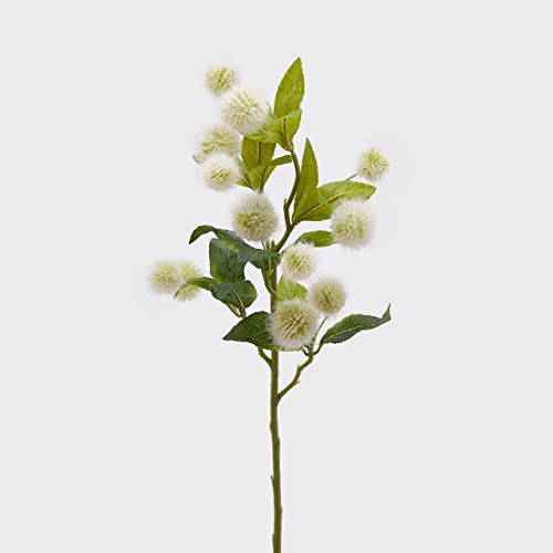 Edg Enzo De Gasperi Ramo Cefalantus Olis Realistico 65Cm Bianco