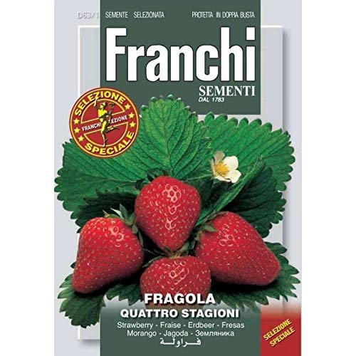Semi Fragola 4 Stagioni Franchi Sementi