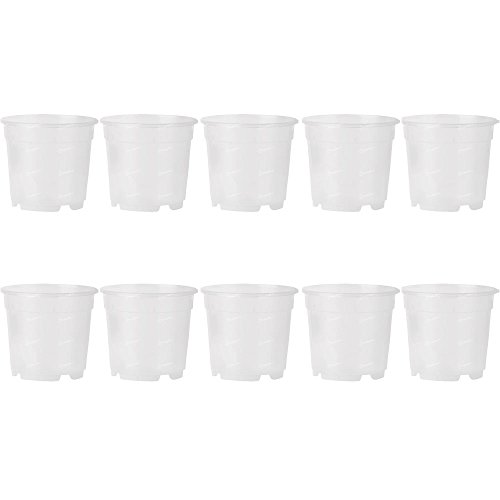 10 Vasi Per Orchidee Orchidea Ø21Cm Completamente Trasparenti Promo