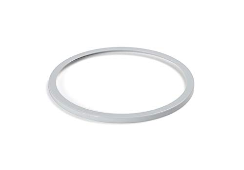 Ricambio Intex Anello Per Contenitore Gallegg. 58947. Codice Intex: 11076