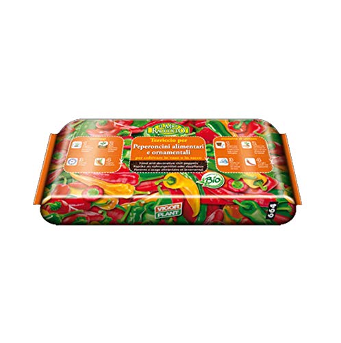 Vigorplant Terriccio Peperoncini 20Lt Concimi Orto Verdure Coltivare