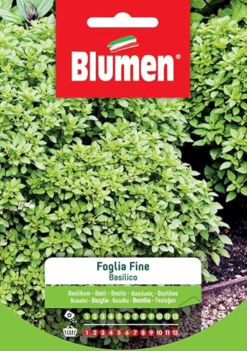Semi Basilico A Foglia Fine Blumen Sementi Orto