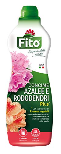 Fito Azalee Rododendri Plus