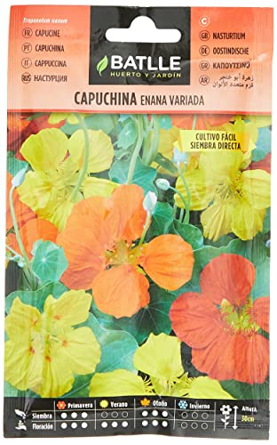 Semillas Batlle Cappuccino Nano Assortito