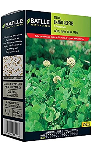 Productos Jardineria- Trebol Blanco Enano Repens, 043902G250