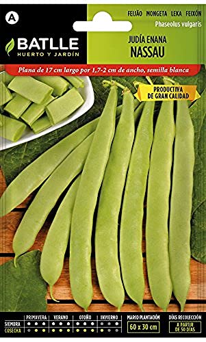 Productos Jardineria- Judia Nassau, Colore Verde, 020562Bols