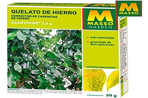Masso-234078 Chelato Di Ferro 50 Gr.