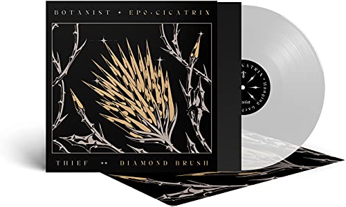 Cicatrix Diamond Brush (Vinyl Clear Edt.)